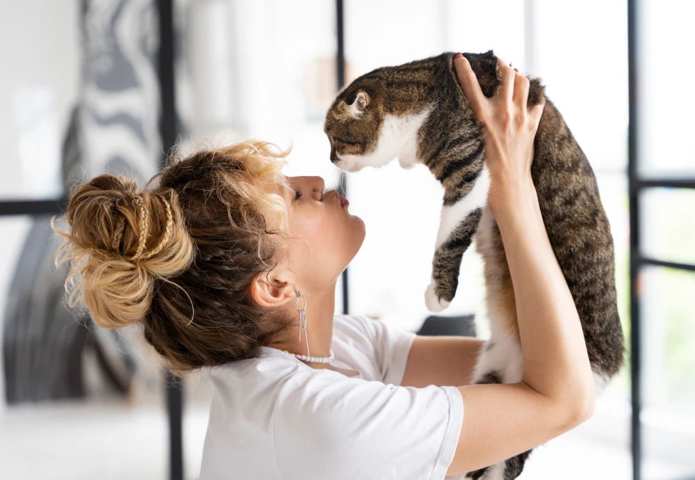 best indoor camera for watching pets