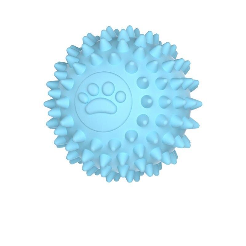 19498-5e9761.jpeg