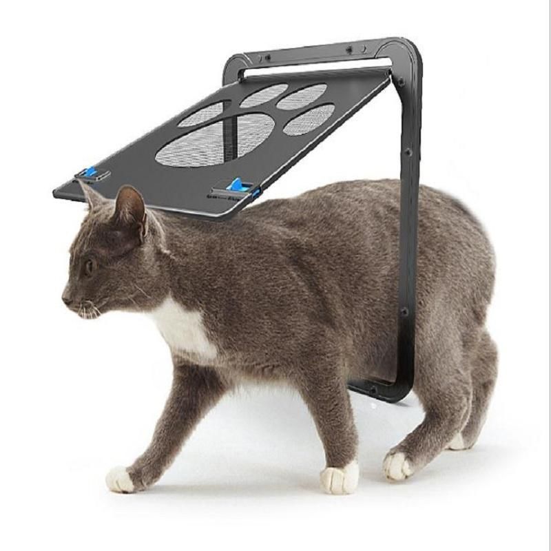 20253-b2bb8e.jpeg
