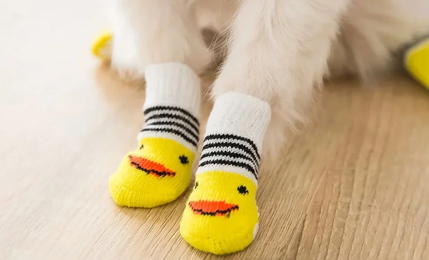 Fashionable Socks for Dogs 4 Pack