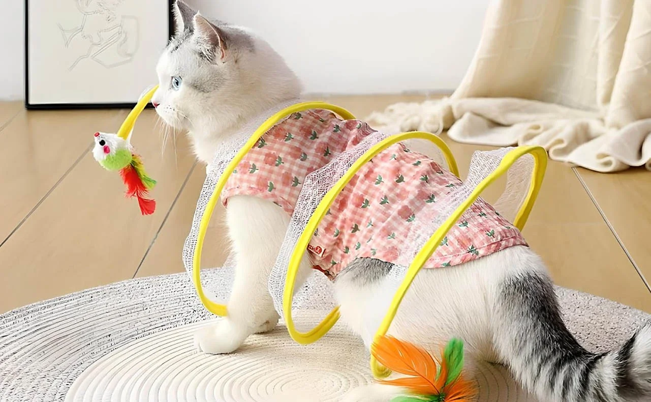Interactive Hide and Seek Cat Tunnel