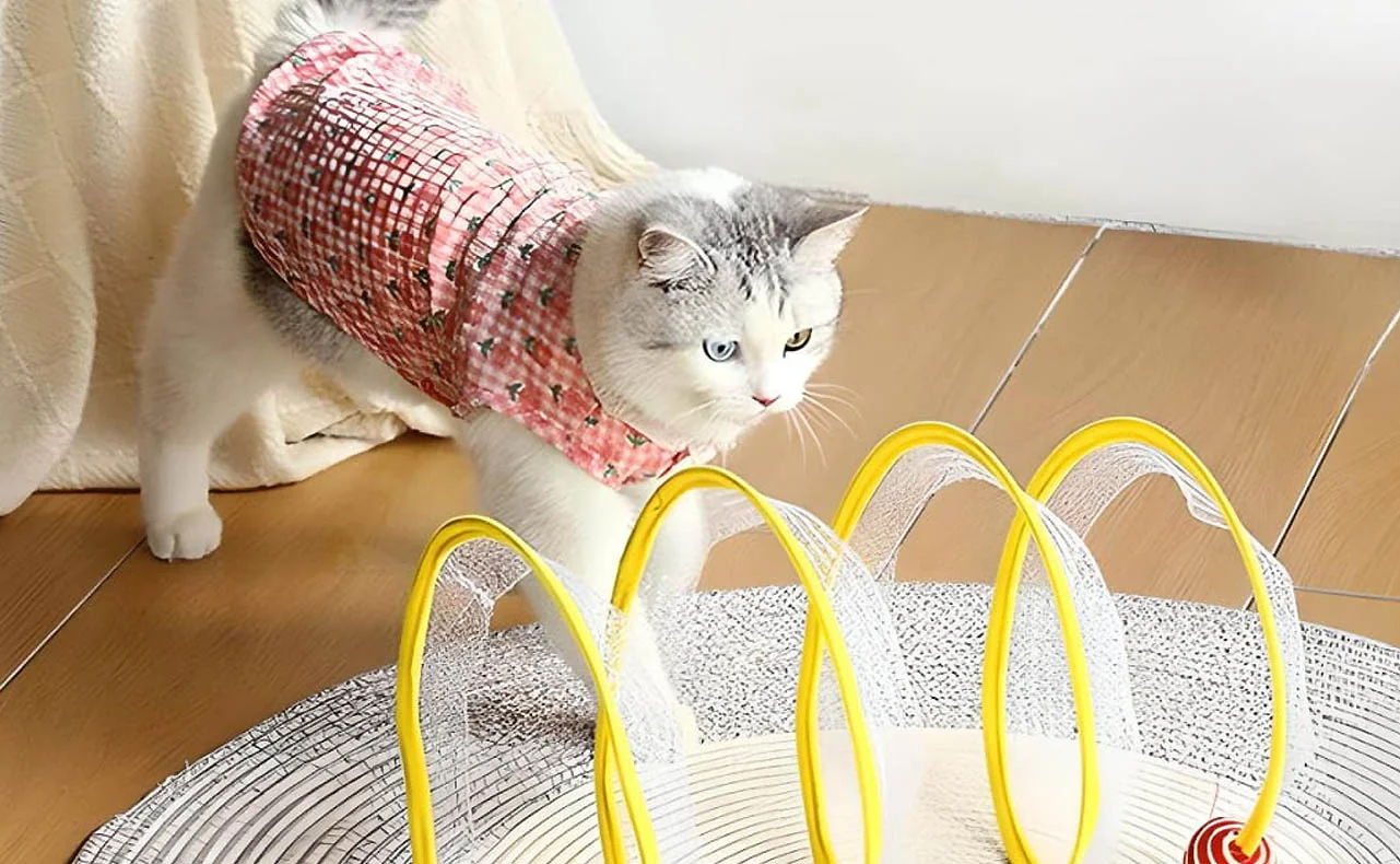 Pet Tunnel for Cats and Kittens