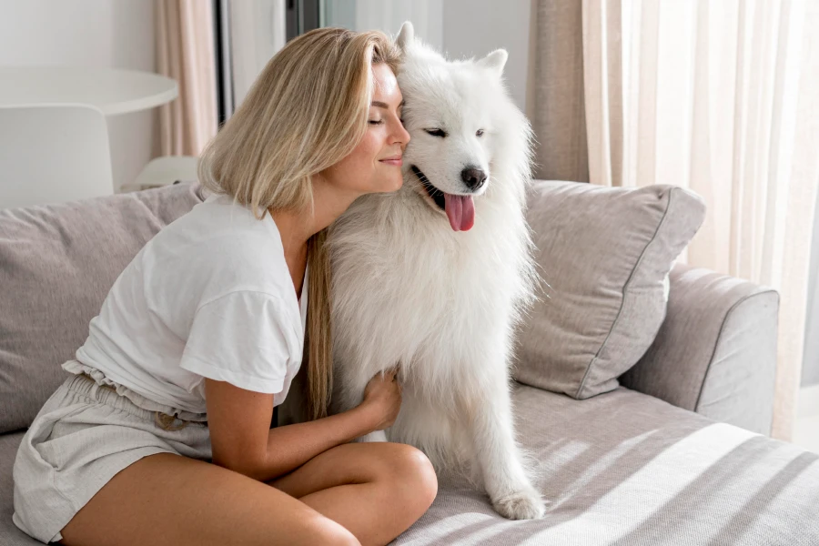 Best Grooming Glove for Dogs